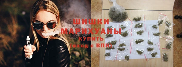 сатива Горнозаводск