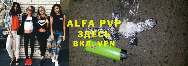 сатива Горнозаводск
