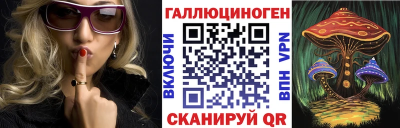 Галлюциногенные грибы Psilocybe  Новоржев 